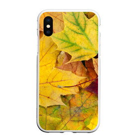 Чехол для iPhone XS Max матовый с принтом Осенние листья в Белгороде, Силикон | Область печати: задняя сторона чехла, без боковых панелей | жёлтый | зелёный | клён | листва