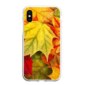 Чехол для iPhone XS Max матовый с принтом Кленовые листья в Белгороде, Силикон | Область печати: задняя сторона чехла, без боковых панелей | жёлтый | зелёный | красный | листва | оранжевый | осень