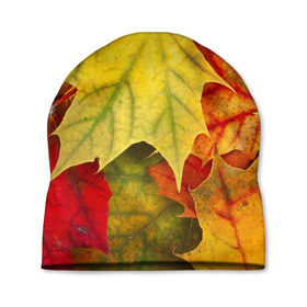 Шапка 3D с принтом Кленовые листья в Белгороде, 100% полиэстер | универсальный размер, печать по всей поверхности изделия | жёлтый | зелёный | красный | листва | оранжевый | осень