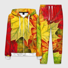 Мужской костюм 3D с принтом Кленовые листья в Белгороде, 100% полиэстер | Манжеты и пояс оформлены тканевой резинкой, двухслойный капюшон со шнурком для регулировки, карманы спереди | Тематика изображения на принте: жёлтый | зелёный | красный | листва | оранжевый | осень