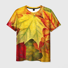 Мужская футболка 3D с принтом Кленовые листья в Белгороде, 100% полиэфир | прямой крой, круглый вырез горловины, длина до линии бедер | жёлтый | зелёный | красный | листва | оранжевый | осень