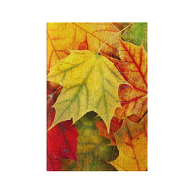 Обложка для паспорта матовая кожа с принтом Кленовые листья в Белгороде, натуральная матовая кожа | размер 19,3 х 13,7 см; прозрачные пластиковые крепления | жёлтый | зелёный | красный | листва | оранжевый | осень