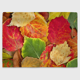 Плед 3D с принтом Осень в Белгороде, 100% полиэстер | закругленные углы, все края обработаны. Ткань не мнется и не растягивается | берёза | дары осени | жёлтый | зелёный | золотой | краски | красный | красота | листва | листья | наряд | оранжевый | осень | осина | покров | природа