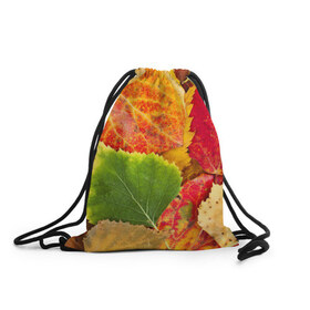 Рюкзак-мешок 3D с принтом Осень в Белгороде, 100% полиэстер | плотность ткани — 200 г/м2, размер — 35 х 45 см; лямки — толстые шнурки, застежка на шнуровке, без карманов и подкладки | Тематика изображения на принте: берёза | дары осени | жёлтый | зелёный | золотой | краски | красный | красота | листва | листья | наряд | оранжевый | осень | осина | покров | природа