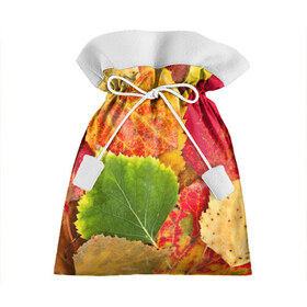 Подарочный 3D мешок с принтом Осень в Белгороде, 100% полиэстер | Размер: 29*39 см | берёза | дары осени | жёлтый | зелёный | золотой | краски | красный | красота | листва | листья | наряд | оранжевый | осень | осина | покров | природа
