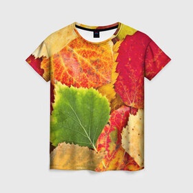 Женская футболка 3D с принтом Осень в Белгороде, 100% полиэфир ( синтетическое хлопкоподобное полотно) | прямой крой, круглый вырез горловины, длина до линии бедер | берёза | дары осени | жёлтый | зелёный | золотой | краски | красный | красота | листва | листья | наряд | оранжевый | осень | осина | покров | природа