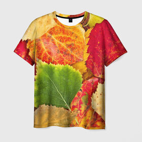Мужская футболка 3D с принтом Осень в Белгороде, 100% полиэфир | прямой крой, круглый вырез горловины, длина до линии бедер | Тематика изображения на принте: берёза | дары осени | жёлтый | зелёный | золотой | краски | красный | красота | листва | листья | наряд | оранжевый | осень | осина | покров | природа