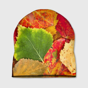 Шапка 3D с принтом Осень в Белгороде, 100% полиэстер | универсальный размер, печать по всей поверхности изделия | берёза | дары осени | жёлтый | зелёный | золотой | краски | красный | красота | листва | листья | наряд | оранжевый | осень | осина | покров | природа