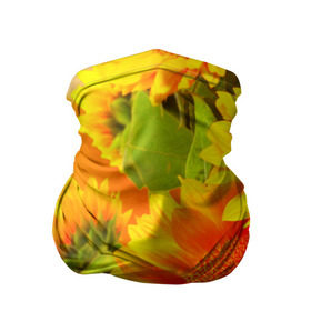 Бандана-труба 3D с принтом Подсолнух в Белгороде, 100% полиэстер, ткань с особыми свойствами — Activecool | плотность 150‒180 г/м2; хорошо тянется, но сохраняет форму | желтая | подсолнух | поле | природа | цветы