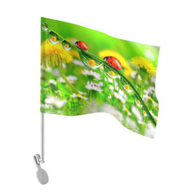 Флаг для автомобиля с принтом Макро в Белгороде, 100% полиэстер | Размер: 30*21 см | божья коровка | насекомые | одуванчик | природа | цветы