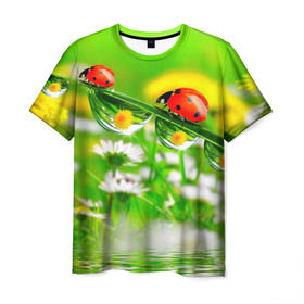 Мужская футболка 3D с принтом Макро в Белгороде, 100% полиэфир | прямой крой, круглый вырез горловины, длина до линии бедер | божья коровка | насекомые | одуванчик | природа | цветы