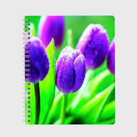 Тетрадь с принтом Тюльпаны в Белгороде, 100% бумага | 48 листов, плотность листов — 60 г/м2, плотность картонной обложки — 250 г/м2. Листы скреплены сбоку удобной пружинной спиралью. Уголки страниц и обложки скругленные. Цвет линий — светло-серый
 | красота | поле | природа | тюльпаны | цветы