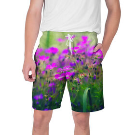 Мужские шорты 3D с принтом Цветы в Белгороде,  полиэстер 100% | прямой крой, два кармана без застежек по бокам. Мягкая трикотажная резинка на поясе, внутри которой широкие завязки. Длина чуть выше колен | красота | лето | поле | цветок