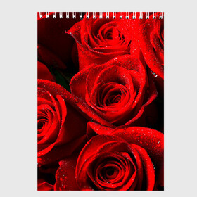 Скетчбук с принтом Розы в Белгороде, 100% бумага
 | 48 листов, плотность листов — 100 г/м2, плотность картонной обложки — 250 г/м2. Листы скреплены сверху удобной пружинной спиралью | красная | роза | роса | цветок