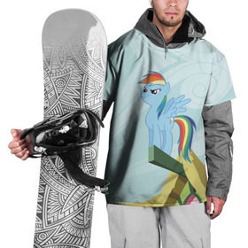 Накидка на куртку 3D с принтом Rainbow в Белгороде, 100% полиэстер |  | Тематика изображения на принте: my little pony | луна | пинки пай | пони | рарити | рейнбоу дэш | селестия | сумеречная искорка | флаттершай | эплджек