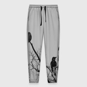 Мужские брюки 3D с принтом Вороны на ветке в Белгороде, 100% полиэстер | манжеты по низу, эластичный пояс регулируется шнурком, по бокам два кармана без застежек, внутренняя часть кармана из мелкой сетки | ветки | вороны | дерево