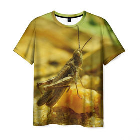 Мужская футболка 3D с принтом Кузнечик в Белгороде, 100% полиэфир | прямой крой, круглый вырез горловины, длина до линии бедер | кузнечик | насекомые