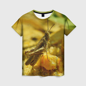 Женская футболка 3D с принтом Кузнечик в Белгороде, 100% полиэфир ( синтетическое хлопкоподобное полотно) | прямой крой, круглый вырез горловины, длина до линии бедер | кузнечик | насекомые