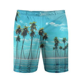Мужские шорты 3D спортивные с принтом Фиджи в Белгороде,  |  | архипелаг | загар | каникулы | королевство | море | остров | отдых | отпуск | пальмы | песок | рай | солнце | тихий океан | туризм | фиджи