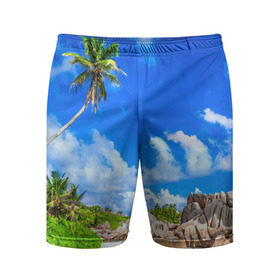 Мужские шорты 3D спортивные с принтом Сейшельские острова в Белгороде,  |  | Тематика изображения на принте: seychelles | восточная африка | индийский океан | каникулы | море | островное государство | отдых | отпуск | пальмы | песок | пляж | приключение | путешествие | рай | сейшелы | сейшельские острова | туризм