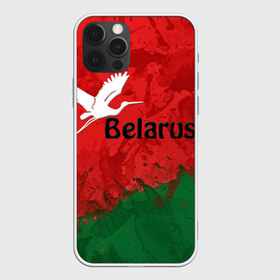 Чехол для iPhone 12 Pro Max с принтом Belarus 2 в Белгороде, Силикон |  | belarus | беларусь