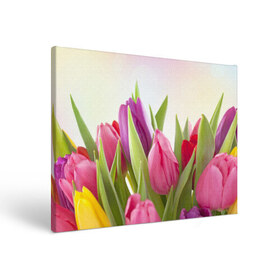 Холст прямоугольный с принтом Тюльпаны в Белгороде, 100% ПВХ |  | 8 марта | аромат | букет | вазон | великолепие | дача | девушки | женщины | краски | красота | куст | лужайка | милые цветы | огород | палитра | прелесть | радуга | растение | тюльпаны