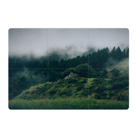 Магнитный плакат 3Х2 с принтом Туманный лес в Белгороде, Полимерный материал с магнитным слоем | 6 деталей размером 9*9 см | веткгоры | деревья | лес | туман