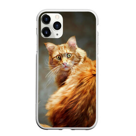 Чехол для iPhone 11 Pro матовый с принтом Рыжий в Белгороде, Силикон |  | cat | кот | кошка | рыжий