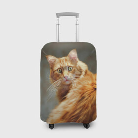 Чехол для чемодана 3D с принтом Рыжий в Белгороде, 86% полиэфир, 14% спандекс | двустороннее нанесение принта, прорези для ручек и колес | cat | кот | кошка | рыжий