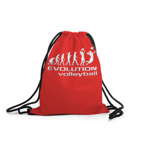 Рюкзак-мешок 3D с принтом Волейбол 23 в Белгороде, 100% полиэстер | плотность ткани — 200 г/м2, размер — 35 х 45 см; лямки — толстые шнурки, застежка на шнуровке, без карманов и подкладки | evolution | volleyball | волейбол