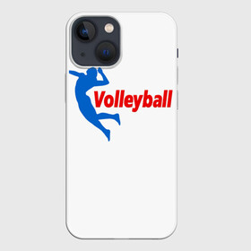 Чехол для iPhone 13 mini с принтом Волейбол 31 в Белгороде,  |  | volleyball | волейбол