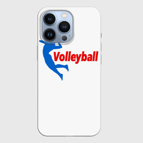 Чехол для iPhone 13 Pro с принтом Волейбол 31 в Белгороде,  |  | volleyball | волейбол