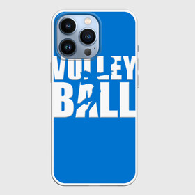 Чехол для iPhone 13 Pro с принтом Волейбол 77 в Белгороде,  |  | volleyball | волейбол