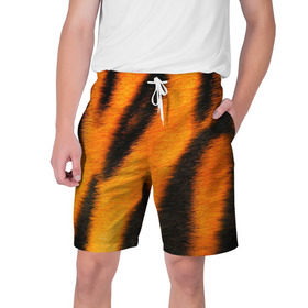 Мужские шорты 3D с принтом Шкура тигра в Белгороде,  полиэстер 100% | прямой крой, два кармана без застежек по бокам. Мягкая трикотажная резинка на поясе, внутри которой широкие завязки. Длина чуть выше колен | кошка | полосатая | текстуры | тигр