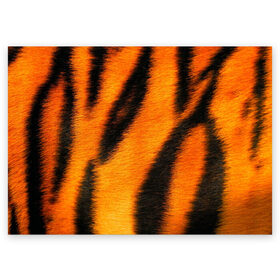 Поздравительная открытка с принтом Шкура тигра в Белгороде, 100% бумага | плотность бумаги 280 г/м2, матовая, на обратной стороне линовка и место для марки
 | кошка | полосатая | текстуры | тигр