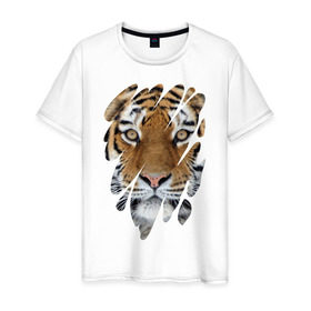 Мужская футболка хлопок с принтом Ярость тигра в Белгороде, 100% хлопок | прямой крой, круглый вырез горловины, длина до линии бедер, слегка спущенное плечо. | tiger | дикая кошка | тигр | хищник