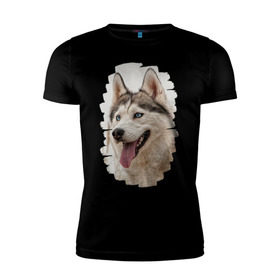 Мужская футболка премиум с принтом Симпотяга волк в Белгороде, 92% хлопок, 8% лайкра | приталенный силуэт, круглый вырез ворота, длина до линии бедра, короткий рукав | Тематика изображения на принте: зверь | серый | хаски | хаски бандит