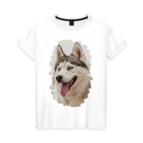 Женская футболка хлопок с принтом Симпотяга волк в Белгороде, 100% хлопок | прямой крой, круглый вырез горловины, длина до линии бедер, слегка спущенное плечо | зверь | серый | хаски | хаски бандит