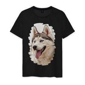Мужская футболка хлопок с принтом Симпотяга волк в Белгороде, 100% хлопок | прямой крой, круглый вырез горловины, длина до линии бедер, слегка спущенное плечо. | зверь | серый | хаски | хаски бандит