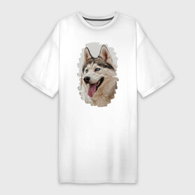 Платье-футболка хлопок с принтом Симпотяга волк в Белгороде,  |  | зверь | серый | хаски | хаски бандит