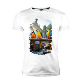 Мужская футболка премиум с принтом Попугаи на ветке в Белгороде, 92% хлопок, 8% лайкра | приталенный силуэт, круглый вырез ворота, длина до линии бедра, короткий рукав | джунгли | клюв | острова | перья | попугай | птица | тропики | экзотика