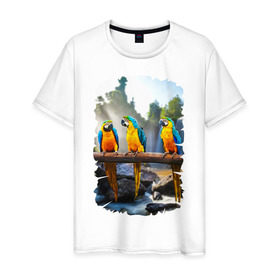 Мужская футболка хлопок с принтом Попугаи на ветке в Белгороде, 100% хлопок | прямой крой, круглый вырез горловины, длина до линии бедер, слегка спущенное плечо. | джунгли | клюв | острова | перья | попугай | птица | тропики | экзотика