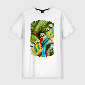Мужская футболка премиум с принтом Экзотические попугаи в Белгороде, 92% хлопок, 8% лайкра | приталенный силуэт, круглый вырез ворота, длина до линии бедра, короткий рукав | джунгли | клюв | острова | перья | попугай | птица | тропики | экзотика
