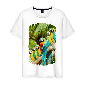 Мужская футболка хлопок с принтом Экзотические попугаи в Белгороде, 100% хлопок | прямой крой, круглый вырез горловины, длина до линии бедер, слегка спущенное плечо. | Тематика изображения на принте: джунгли | клюв | острова | перья | попугай | птица | тропики | экзотика