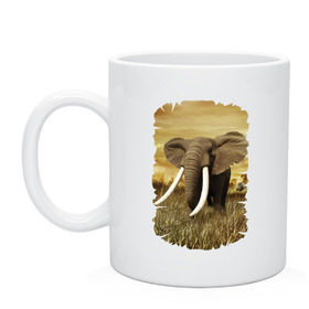 Кружка с принтом Могучий слон в Белгороде, керамика | объем — 330 мл, диаметр — 80 мм. Принт наносится на бока кружки, можно сделать два разных изображения | elephant | африка | бивни | джунгли | мамонт | савана | сафари | слон | хобот