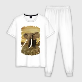 Мужская пижама хлопок с принтом Могучий слон в Белгороде, 100% хлопок | брюки и футболка прямого кроя, без карманов, на брюках мягкая резинка на поясе и по низу штанин
 | Тематика изображения на принте: elephant | африка | бивни | джунгли | мамонт | савана | сафари | слон | хобот