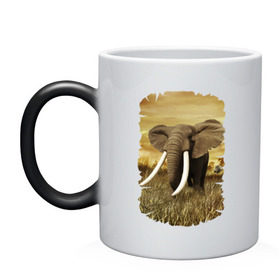 Кружка хамелеон с принтом Могучий слон в Белгороде, керамика | меняет цвет при нагревании, емкость 330 мл | elephant | африка | бивни | джунгли | мамонт | савана | сафари | слон | хобот