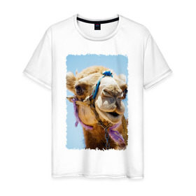 Мужская футболка хлопок с принтом Верблюд в Белгороде, 100% хлопок | прямой крой, круглый вырез горловины, длина до линии бедер, слегка спущенное плечо. | Тематика изображения на принте: верблюд | горб | животное | караван | песок | плевок | пустыня