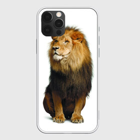 Чехол для iPhone 12 Pro Max с принтом Король джунглей в Белгороде, Силикон |  | Тематика изображения на принте: leo | lion | власть | грива | дикая кошка | животное | зверь | клыки | когти | король джунглей | лев | мощь | мудрость | охотник | сила | хитрость | хищник | царь зверей | шерсть