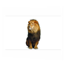 Бумага для упаковки 3D с принтом Король джунглей в Белгороде, пластик и полированная сталь | круглая форма, металлическое крепление в виде кольца | leo | lion | власть | грива | дикая кошка | животное | зверь | клыки | когти | король джунглей | лев | мощь | мудрость | охотник | сила | хитрость | хищник | царь зверей | шерсть